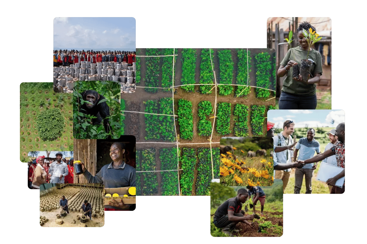 090226_GV_de opkomst van milieucertificaten en landherstel_visual 4