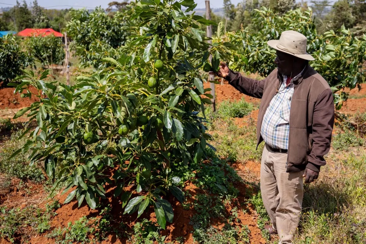 100226_GV_Het unieke Artikel 9-karakter van ons Duurzaam Projectenfonds_visual 6