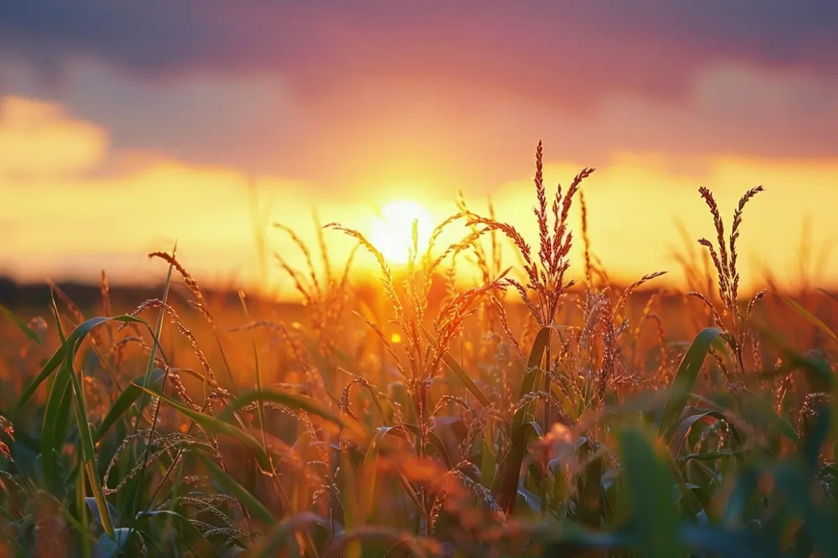 12022026_GV_090226_GV_Waar kan je het beste in investeren_ De beste commodities_visual 1