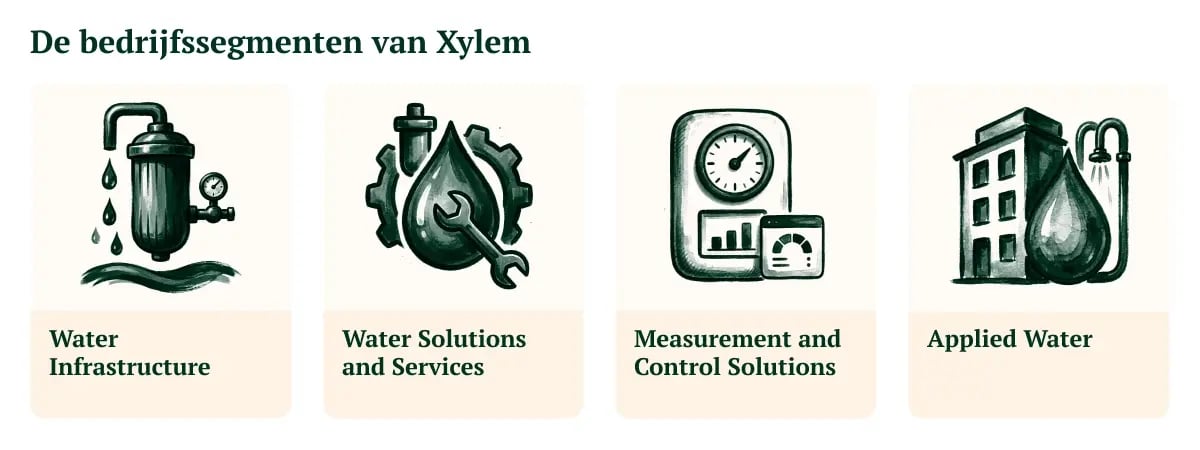 210726_GV_Xylem_visual 2