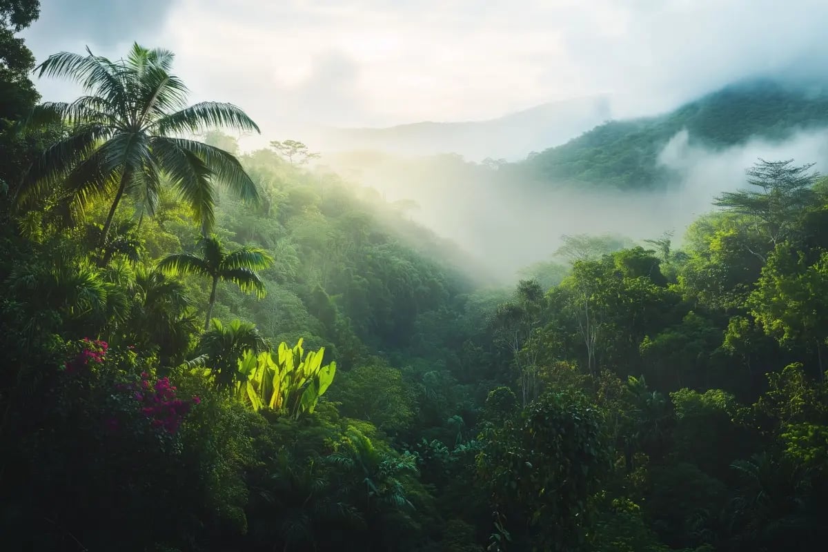 3. CO2- en biodiversiteitscertificaten