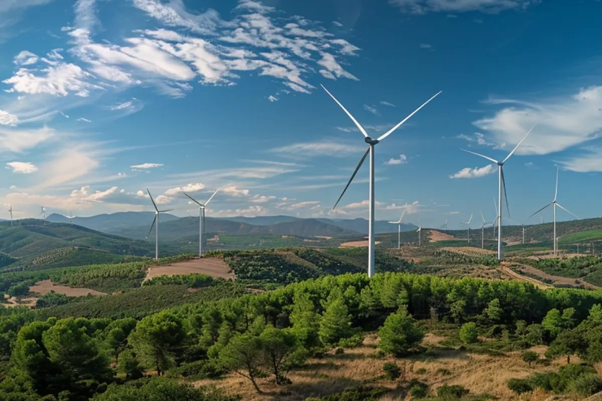 5. Groene energie & infrastructuur