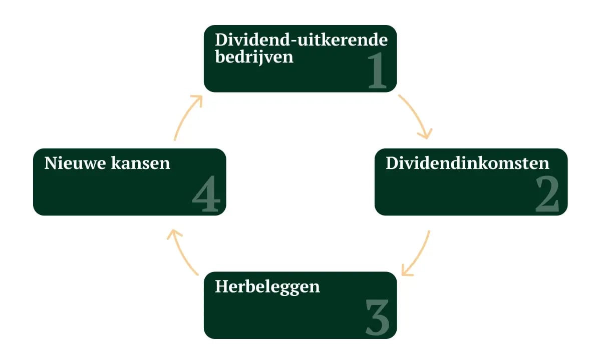 Dividendstromen als fundament voor onze duurzame langetermijnstrategie_visual 4