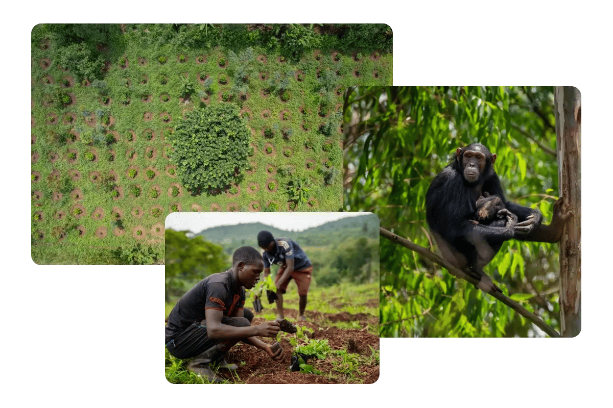 Duurzame beleggingsfondsen vs. beleggen in vastgoed in 2026_visual 8