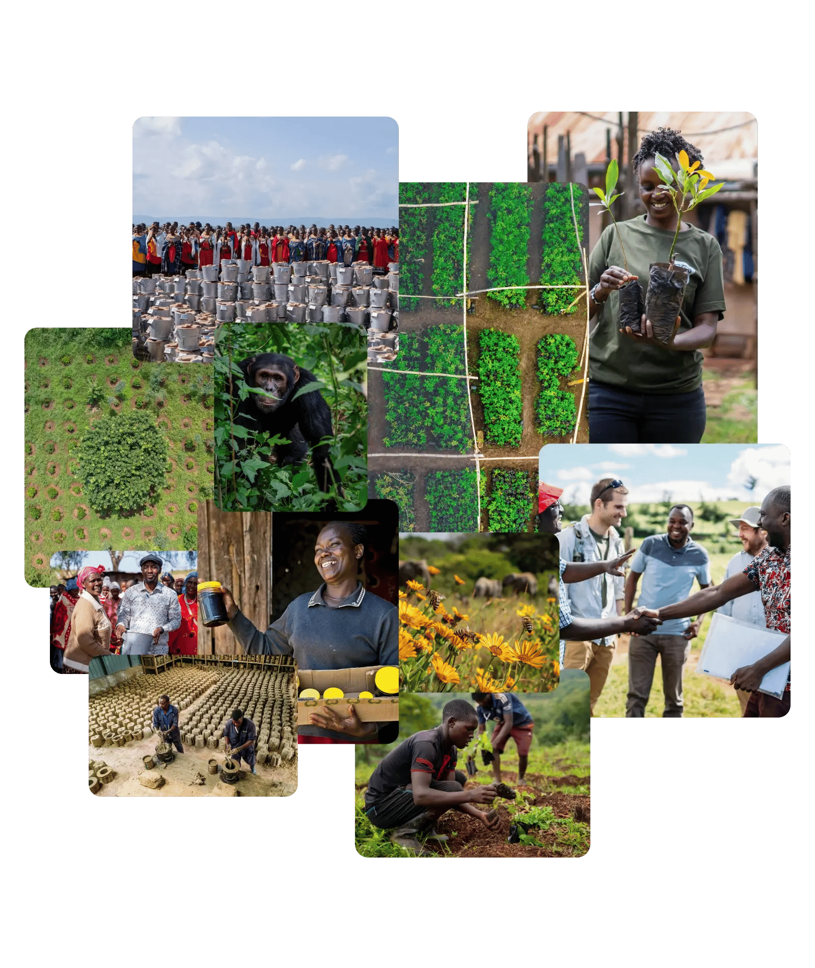 groenvermogen_projecten fonds_onze investeringsstrategie (3)