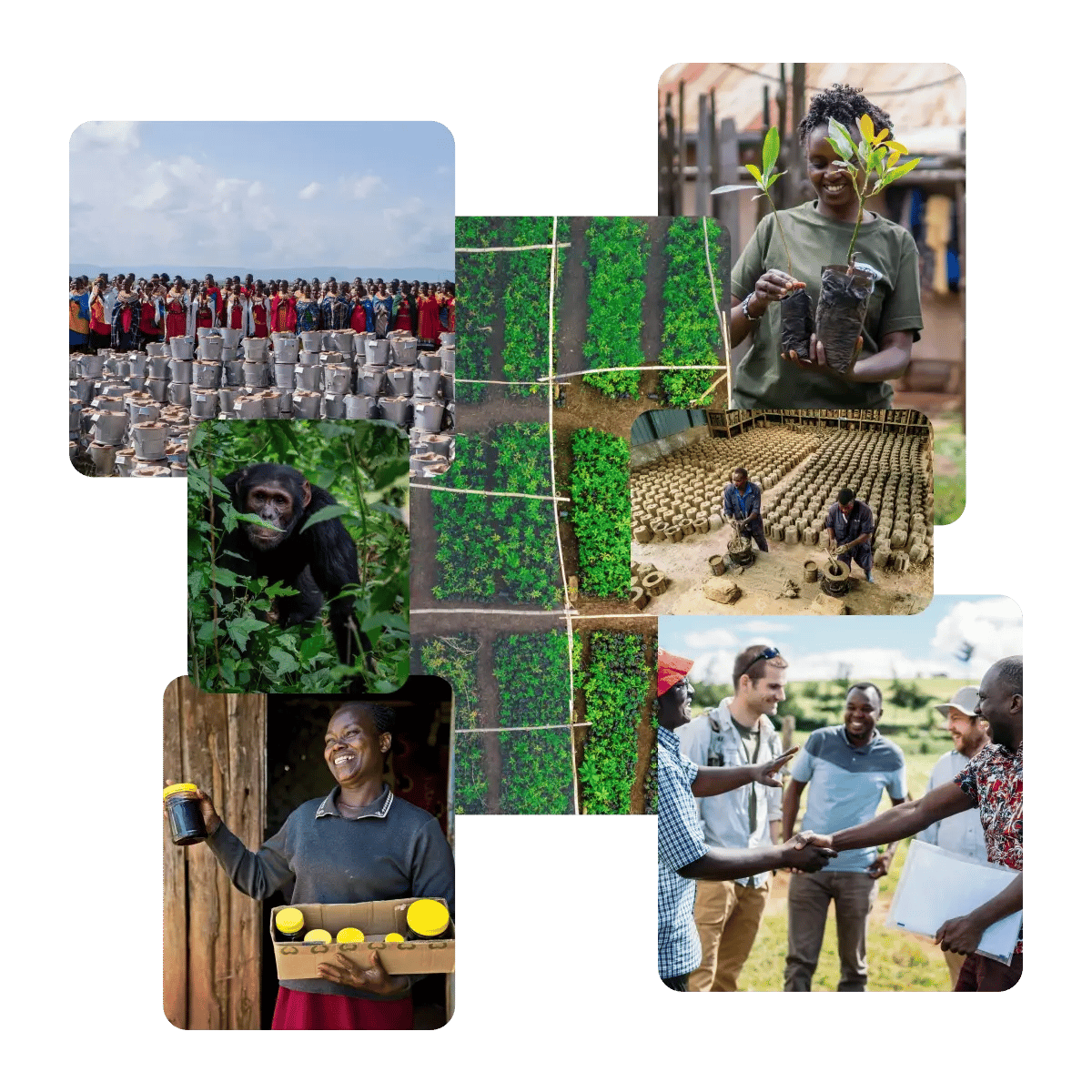 groenvermogen_projecten fonds_onze investeringsstrategie